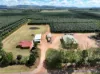 39 Yadjin Rd, Tolga, Qld 4882-Image