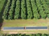 39 Yadjin Rd, Tolga, Qld 4882-Image