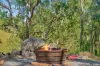 390 Belbora Creek Road, Belbora, NSW 2422-Image