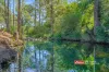 390 Belbora Creek Road, Belbora, NSW 2422-Image