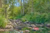 390 Belbora Creek Road, Belbora, NSW 2422-Image