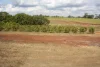 4 Mount Misery Road, Redhill Farms, Qld 4671-Image
