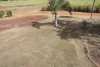 4 Mount Misery Road, Redhill Farms, Qld 4671-Image