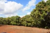 4 Mount Misery Road, Redhill Farms, Qld 4671-Image