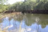 4 Mount Misery Road, Redhill Farms, Qld 4671-Image