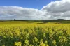 404  Marshalls Road, Ungarra, SA 5607