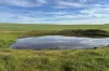 404  Marshalls Road, Ungarra, SA 5607-Image