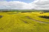 404  Marshalls Road, Ungarra, SA 5607-Image