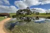 404  Marshalls Road, Ungarra, SA 5607-Image