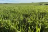 404  Marshalls Road, Ungarra, SA 5607-Image