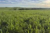 404  Marshalls Road, Ungarra, SA 5607-Image