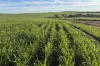 404  Marshalls Road, Ungarra, SA 5607-Image