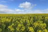 404  Marshalls Road, Ungarra, SA 5607-Image