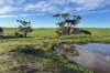 404  Marshalls Road, Ungarra, SA 5607-Image