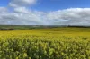 404  Marshalls Road, Ungarra, SA 5607-Image
