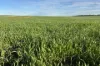 404  Marshalls Road, Ungarra, SA 5607-Image