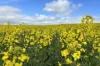 404  Marshalls Road, Ungarra, SA 5607-Image