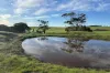 404  Marshalls Road, Ungarra, SA 5607-Image