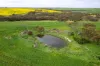 404  Marshalls Road, Ungarra, SA 5607-Image