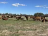 404 Readhead Road, North Dandalup, WA 6207-Image