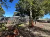 404 Readhead Road, North Dandalup, WA 6207-Image
