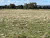 404 Readhead Road, North Dandalup, WA 6207-Image