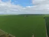 406 Crowell Road, Winulta, SA 5570-Image