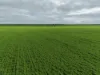 406 Crowell Road, Winulta, SA 5570-Image