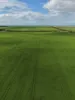 406 Crowell Road, Winulta, SA 5570-Image