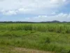 41 Bramston Beach Road, Eubenangee, Qld 4860-Image