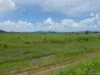 41 Bramston Beach Road, Eubenangee, Qld 4860-Image