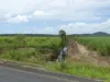 41 Bramston Beach Road, Eubenangee, Qld 4860-Image