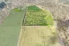 42 Seward Road, Dimbulah QLD 4872-Image