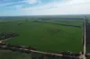 42666 Eyre Highway, Mudamuckla, SA 5680-Image