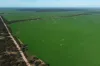 42666 Eyre Highway, Mudamuckla, SA 5680-Image