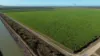 43  Keith Venables Road, Upper Haughton, Qld 4809-Image