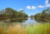43 New Valley Road, Alloway, Qld 4670-Image