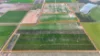 43 New Valley Road, Alloway, Qld 4670-Image