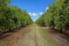 43 New Valley Road, Alloway, Qld 4670-Image