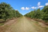 43 New Valley Road, Alloway, Qld 4670-Image
