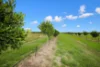 43 New Valley Road, Alloway, Qld 4670-Image