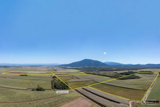 44 Kelly Road, Lower Tully, Qld 4854