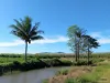 44 Kelly Road, Lower Tully, Qld 4854-Image