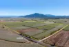 44 Kelly Road, Lower Tully, Qld 4854-Image