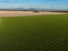 445 Trevena Lane, Bellata, NSW 2397-Image