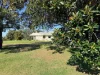 445 Trevena Lane, Bellata, NSW 2397-Image