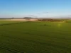 445 Trevena Lane, Bellata, NSW 2397-Image
