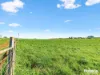 449 Chapel Road, Sassafras, Tas 7307-Image