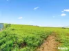449 Chapel Road, Sassafras, Tas 7307-Image