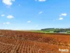 449 Chapel Road, Sassafras, Tas 7307-Image